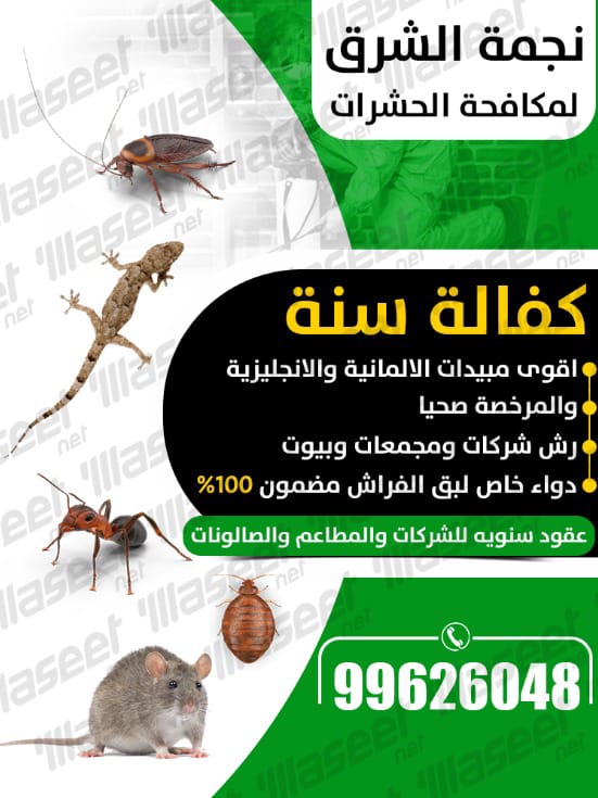 whatsapp image 2025 11 14 at 1.08.53 am (1)