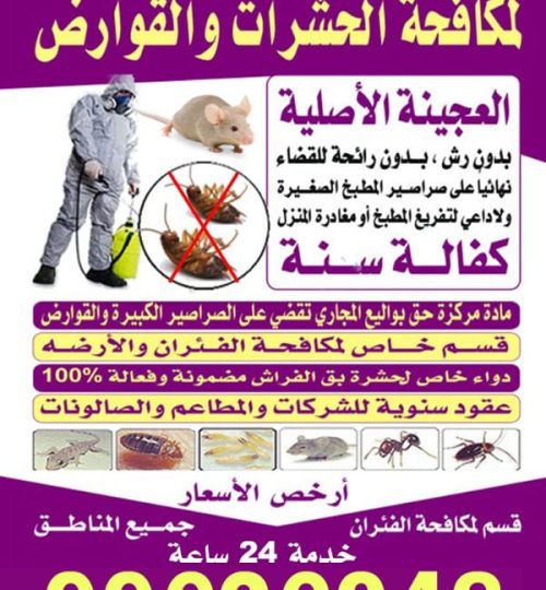 whatsapp image 2025 11 14 at 1.07.08 am