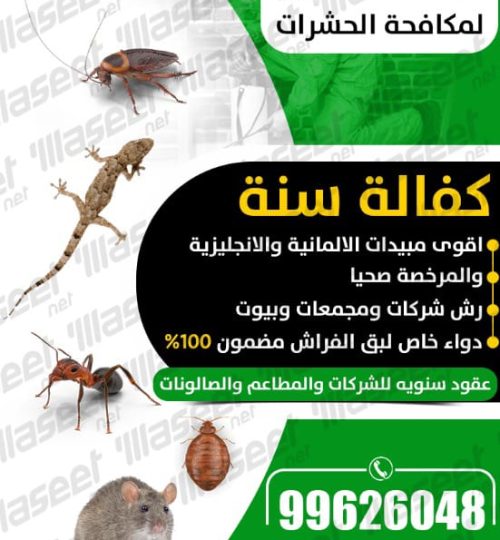 whatsapp image 2025 11 14 at 1.08.53 am (1)